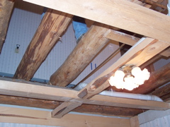 100_1784.JPG