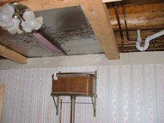 DSCF5185.JPG