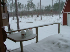 DSCF5209.JPG